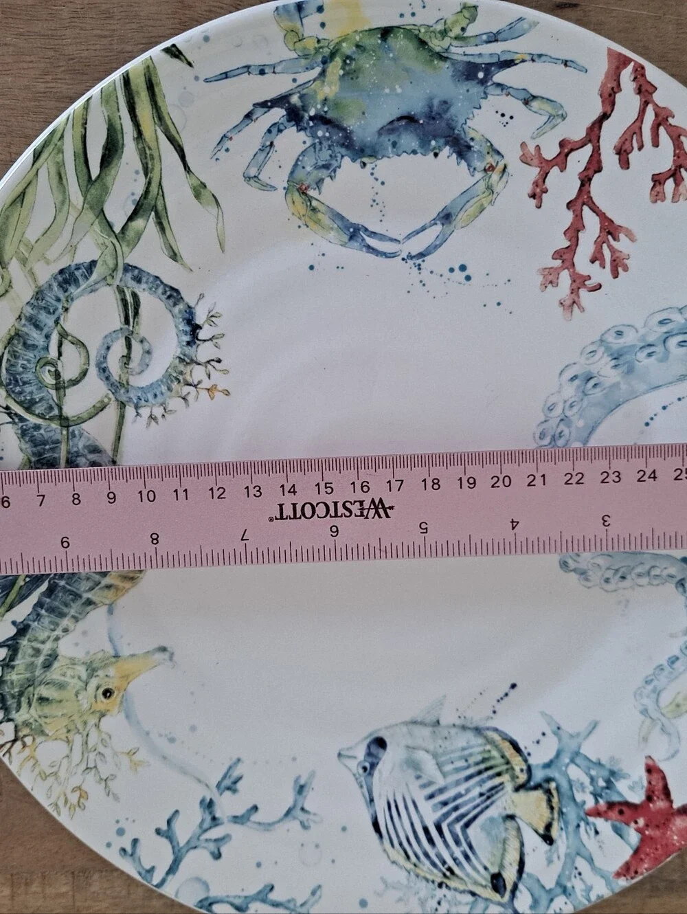Pier 1 White Ceramic Dinner Plate Sea Life Rare Discontinued  10.75